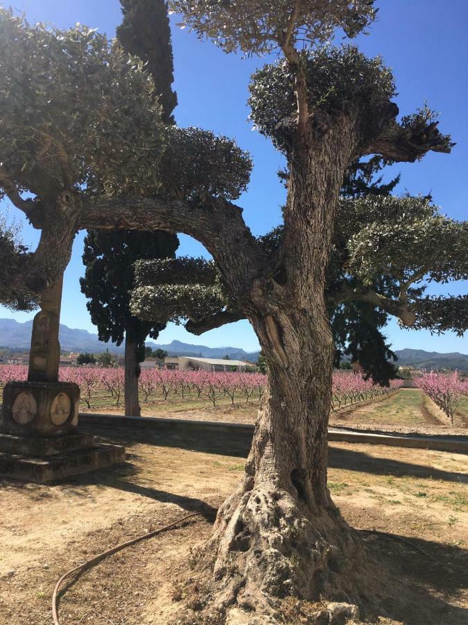 Benissanet Casa Fontゲストハウス エクステリア 写真