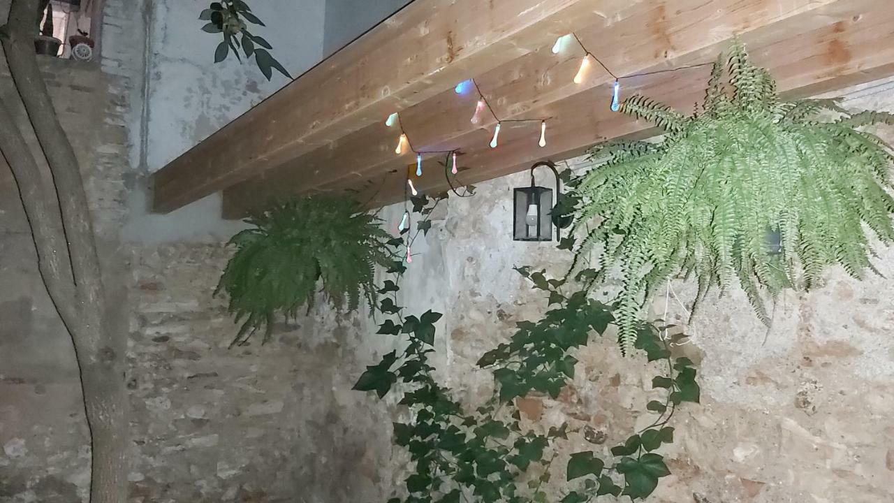Benissanet Casa Fontゲストハウス エクステリア 写真